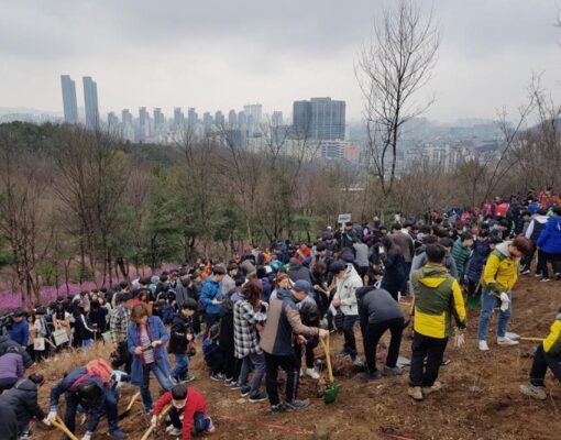 녹음이 우거지는 우리 동네 만들기~ - 2019 봄철 내나무심기 현장